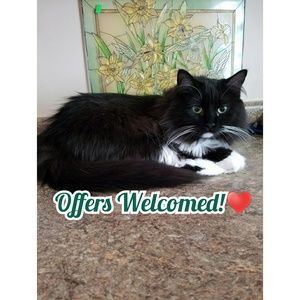 ♥️ Don't hesitate to make an offer ♥️